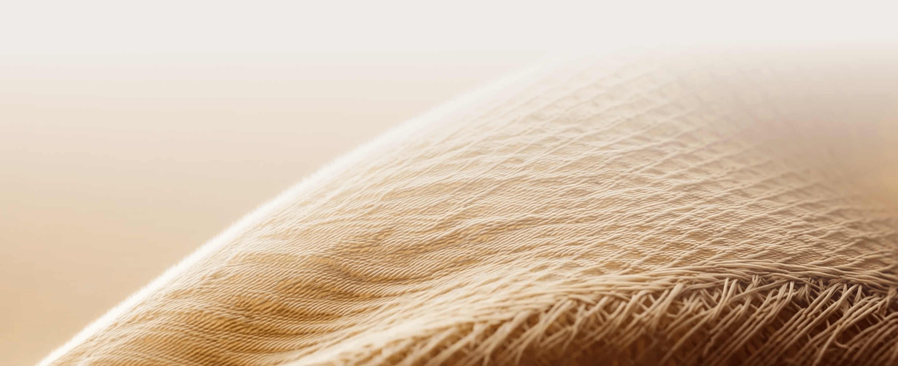 MOISE Banner Desktop