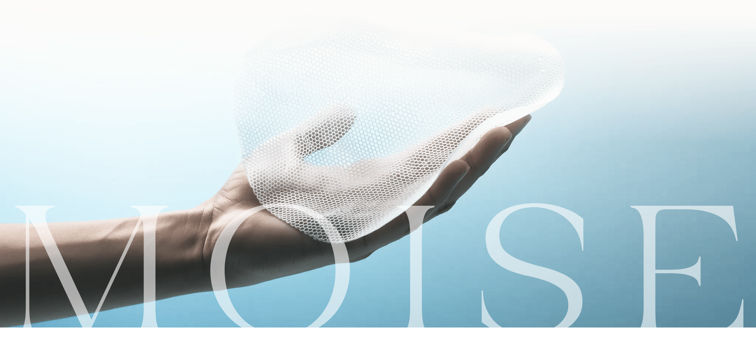 MOISE Banner Desktop