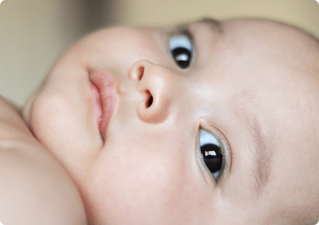 Lactobacillus Ferment