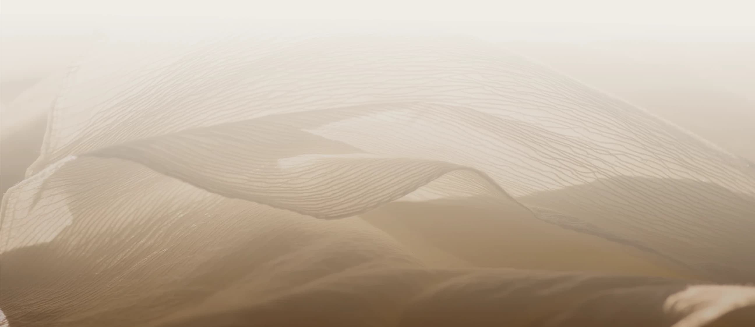 MOISE Banner Desktop